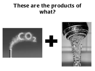 These are the products of what? + 