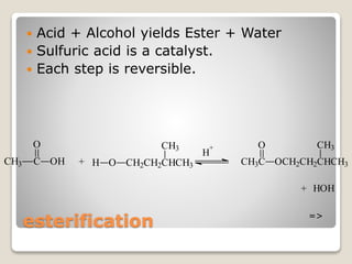 esterification
 Acid + Alcohol yields Ester + Water
 Sulfuric acid is a catalyst.
 Each step is reversible.
CH3 C OH
O
+ CH2CH2CHCH3
CH3
OH
H
+
CH3C
O
OCH2CH2CHCH3
CH3
+ HOH
=>
 