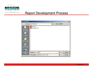 Report Development Process
 