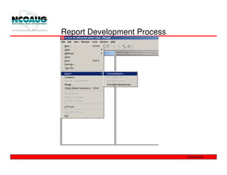 Report Development Process
 