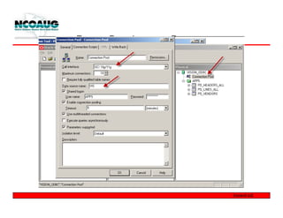 Report Development Process
 