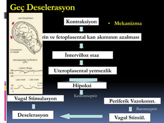 Geç Deselerasyon
• MekanizmaKontraksiyon
Uterin ve fetoplasental kan akımının azalması
İntervilloz staz
Uteroplasental yetmezlik
Hipoksi
Deselerasyon
Vagal Stimulasyon
Kemoreseptör
Vagal Stimül.
Periferik Vazokonst.
Baroreseptör
 