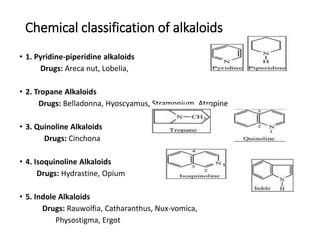 Chemical classification of alkaloids
• 1. Pyridine-piperidine alkaloids
Drugs: Areca nut, Lobelia,
• 2. Tropane Alkaloids
Drugs: Belladonna, Hyoscyamus, Stramonium, Atropine
• 3. Quinoline Alkaloids
Drugs: Cinchona
• 4. Isoquinoline Alkaloids
Drugs: Hydrastine, Opium
• 5. Indole Alkaloids
Drugs: Rauwolfia, Catharanthus, Nux-vomica,
Physostigma, Ergot
 