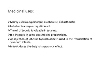 Medicinal uses:
Mainly used as expectorant, diaphoretic, antiasthmatic
Lobeline is a respiratory stimulant.
The oil of Lobelia is valuable in tetanus.
It is included in some antismoking preparations.
An injection of lobeline hydrochloride is used in the resuscitation of
new-born infants.
In toxic doses the drug has a paralytic effect.
 