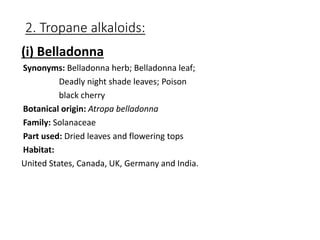 2. Tropane alkaloids:
(i) Belladonna
Synonyms: Belladonna herb; Belladonna leaf;
Deadly night shade leaves; Poison
black cherry
Botanical origin: Atropa belladonna
Family: Solanaceae
Part used: Dried leaves and flowering tops
Habitat:
United States, Canada, UK, Germany and India.
 