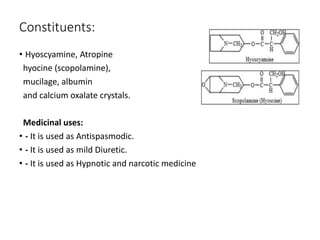 Constituents:
• Hyoscyamine, Atropine
hyocine (scopolamine),
mucilage, albumin
and calcium oxalate crystals.
Medicinal uses:
• - It is used as Antispasmodic.
• - It is used as mild Diuretic.
• - It is used as Hypnotic and narcotic medicine
 