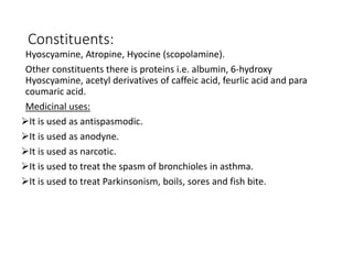 Constituents:
Hyoscyamine, Atropine, Hyocine (scopolamine).
Other constituents there is proteins i.e. albumin, 6-hydroxy
Hyoscyamine, acetyl derivatives of caffeic acid, feurlic acid and para
coumaric acid.
Medicinal uses:
It is used as antispasmodic.
It is used as anodyne.
It is used as narcotic.
It is used to treat the spasm of bronchioles in asthma.
It is used to treat Parkinsonism, boils, sores and fish bite.
 