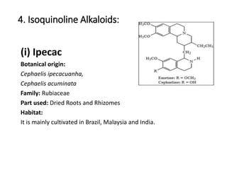 4. Isoquinoline Alkaloids:
(i) Ipecac
Botanical origin:
Cephaelis ipecacuanha,
Cephaelis acuminata
Family: Rubiaceae
Part used: Dried Roots and Rhizomes
Habitat:
It is mainly cultivated in Brazil, Malaysia and India.
 