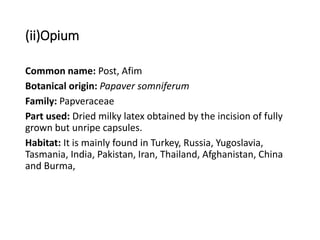 (ii)Opium
Common name: Post, Afim
Botanical origin: Papaver somniferum
Family: Papveraceae
Part used: Dried milky latex obtained by the incision of fully
grown but unripe capsules.
Habitat: It is mainly found in Turkey, Russia, Yugoslavia,
Tasmania, India, Pakistan, Iran, Thailand, Afghanistan, China
and Burma,
 