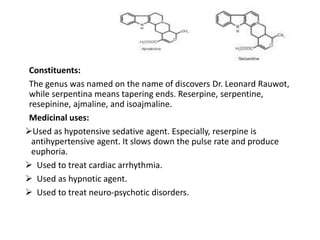 Constituents:
The genus was named on the name of discovers Dr. Leonard Rauwot,
while serpentina means tapering ends. Reserpine, serpentine,
resepinine, ajmaline, and isoajmaline.
Medicinal uses:
Used as hypotensive sedative agent. Especially, reserpine is
antihypertensive agent. It slows down the pulse rate and produce
euphoria.
 Used to treat cardiac arrhythmia.
 Used as hypnotic agent.
 Used to treat neuro-psychotic disorders.
 