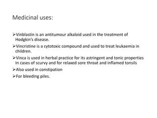 Medicinal uses:
Vinblastin is an antitumour alkaloid used in the treatment of
Hodgkin’s disease.
Vincristine is a cytotoxic compound and used to treat leukaemia in
children.
Vinca is used in herbal practice for its astringent and tonic properties
In cases of scurvy and for relaxed sore throat and inflamed tonsils
Also used in constipation
For bleeding piles.
 