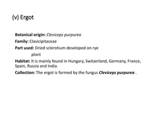 (v) Ergot
Botanical origin: Cleviceps purpurea
Family: Clavicipitaceae
Part used: Dried sclerotium developed on rye
plant
Habitat: It is mainly found in Hungary, Switzerland, Germany, France,
Spain, Russia and India.
Collection: The ergot is formed by the fungus Cleviceps purpurea .
 