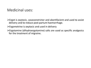 Medicinal uses:
Ergot is oxytocic, vasoconstrictor and abortifacient and used to assist
delivery and to reduce post-partum haemorrhage.
Ergometrine is oxytocic and used in delivery
Ergotamine (dihydroergotamine) salts are used as specific analgesics
for the treatment of migraine.
 