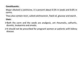 Constituents:
Major alkaloid is colchicine, it is present about 0.5% in seeds and 0.6% in
corms.
They also contain resin, called colchicoresin, fixed oil, glucose and starch.
Uses:
Both the corm and the seeds are analgesic, ant rheumatic, cathartic,
diuretic, leukaemia and emetic.
It should not be prescribed for pregnant women or patients with kidney
disease.
 