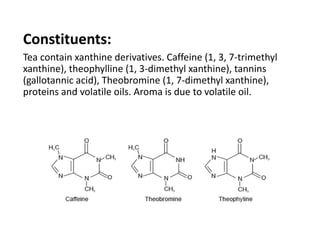 Constituents:
Tea contain xanthine derivatives. Caffeine (1, 3, 7-trimethyl
xanthine), theophylline (1, 3-dimethyl xanthine), tannins
(gallotannic acid), Theobromine (1, 7-dimethyl xanthine),
proteins and volatile oils. Aroma is due to volatile oil.
 