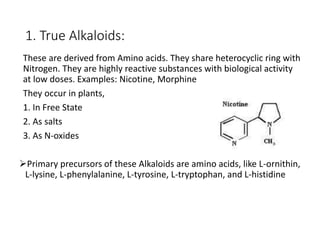 1. True Alkaloids:
These are derived from Amino acids. They share heterocyclic ring with
Nitrogen. They are highly reactive substances with biological activity
at low doses. Examples: Nicotine, Morphine
They occur in plants,
1. In Free State
2. As salts
3. As N-oxides
Primary precursors of these Alkaloids are amino acids, like L-ornithin,
L-lysine, L-phenylalanine, L-tyrosine, L-tryptophan, and L-histidine
 