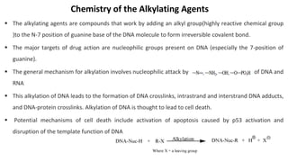 Chemistry of the Alkylating Agents
▪ The alkylating agents are compounds that work by adding an alkyl group(highly reactive chemical group
)to the N-7 position of guanine base of the DNA molecule to form irreversible covalent bond.
▪ The major targets of drug action are nucleophilic groups present on DNA (especially the 7-position of
guanine).
▪ The general mechanism for alkylation involves nucleophilic attack by of DNA and
RNA
▪ This alkylation of DNA leads to the formation of DNA crosslinks, intrastrand and interstrand DNA adducts,
and DNA-protein crosslinks. Alkylation of DNA is thought to lead to cell death.
▪ Potential mechanisms of cell death include activation of apoptosis caused by p53 activation and
disruption of the template function of DNA
 
