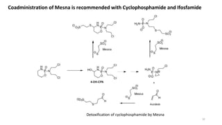 Coadministration of Mesna is recommended with Cyclophosphamide and Ifosfamide
Detoxification of cyclophosphamide by Mesna
32
 