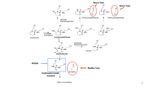 Neuro Toxic
Neuro Toxic
Bladder Toxic
34
Active
Isophosphoramide
mustard
4-hydroxyifosfamide
aldoifosfamide
 