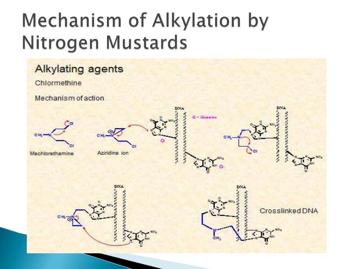 alkylating anticancers nitrogen mustard
