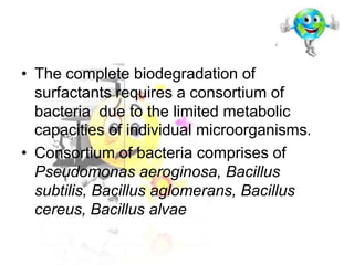 • The complete biodegradation of
surfactants requires a consortium of
bacteria due to the limited metabolic
capacities of individual microorganisms.
• Consortium of bacteria comprises of
Pseudomonas aeroginosa, Bacillus
subtilis, Bacillus aglomerans, Bacillus
cereus, Bacillus alvae

 