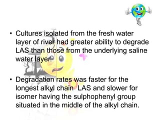 • Cultures isolated from the fresh water
layer of river had greater ability to degrade
LAS than those from the underlying saline
water layer.
• Degradation rates was faster for the
longest alkyl chain LAS and slower for
isomer having the sulphophenyl group
situated in the middle of the alkyl chain.

 