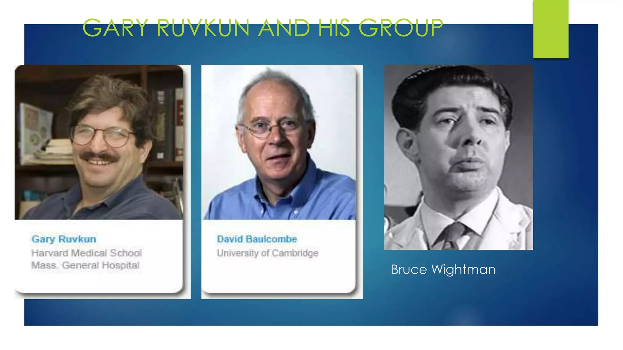 Bruce Wightman
GARY RUVKUN AND HIS GROUP
 