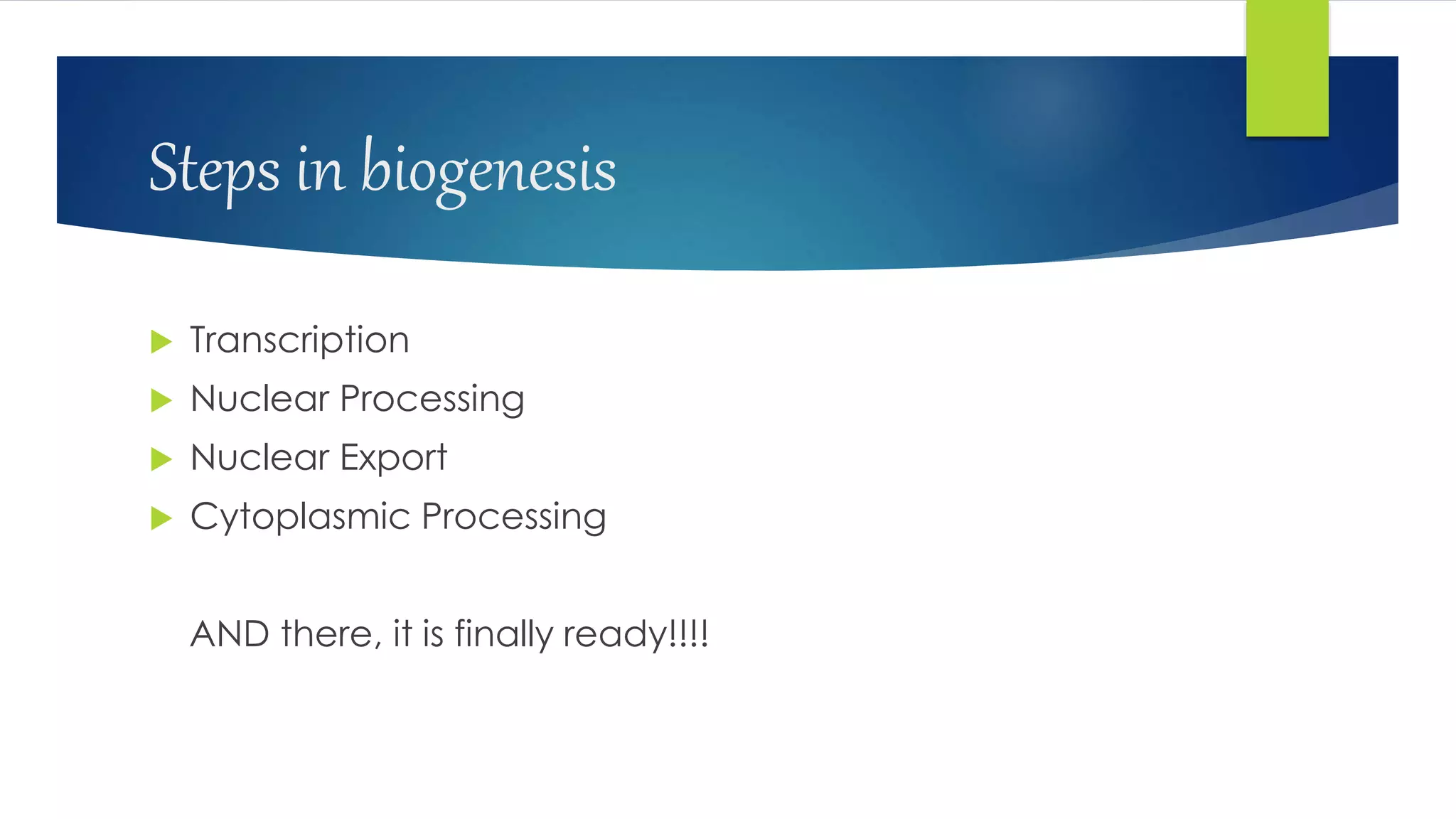 Steps in biogenesis
 Transcription
 Nuclear Processing
 Nuclear Export
 Cytoplasmic Processing
AND there, it is finally ready!!!!
 