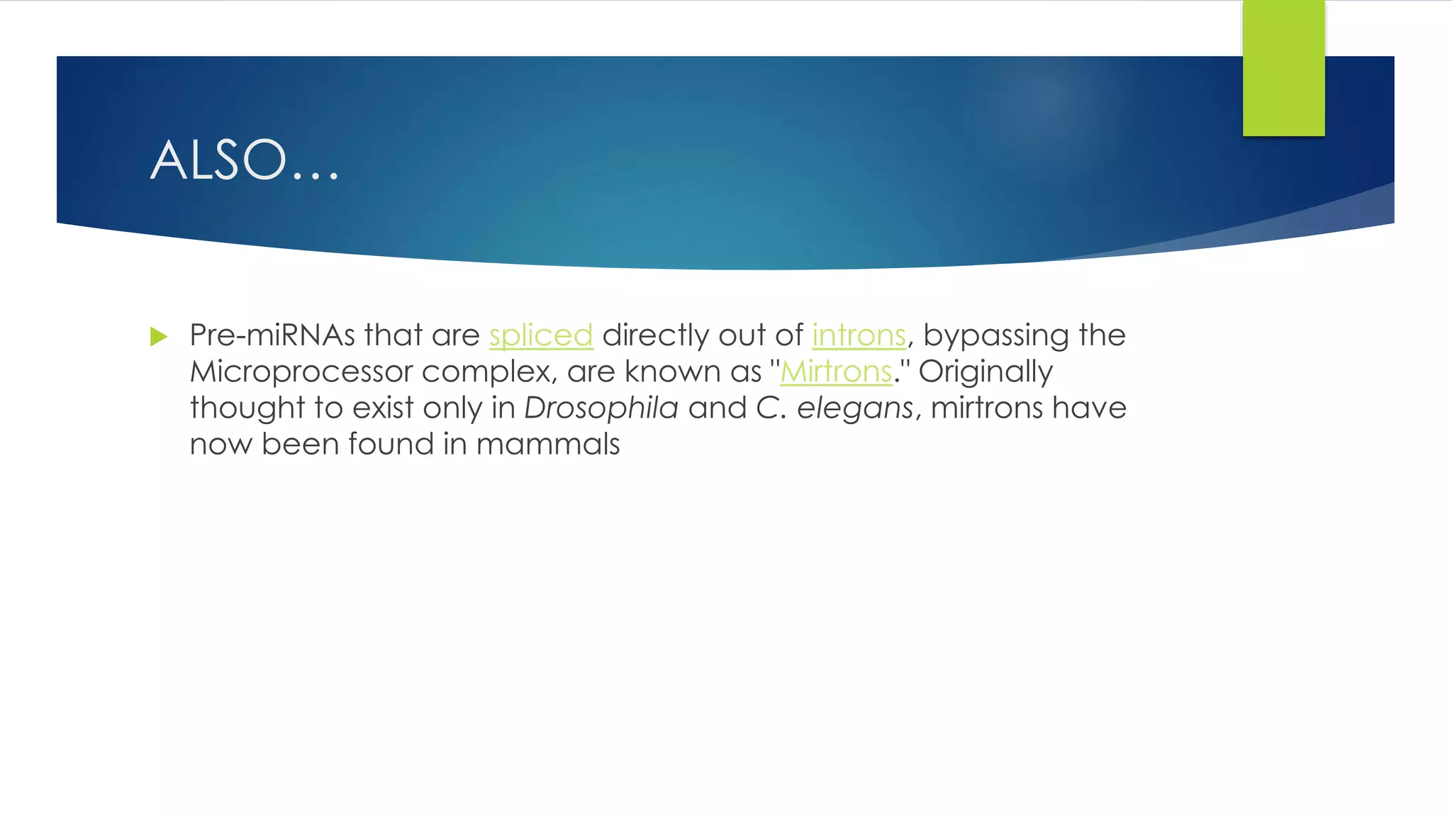 ALSO…
 Pre-miRNAs that are spliced directly out of introns, bypassing the
Microprocessor complex, are known as "Mirtrons." Originally
thought to exist only in Drosophila and C. elegans, mirtrons have
now been found in mammals
 