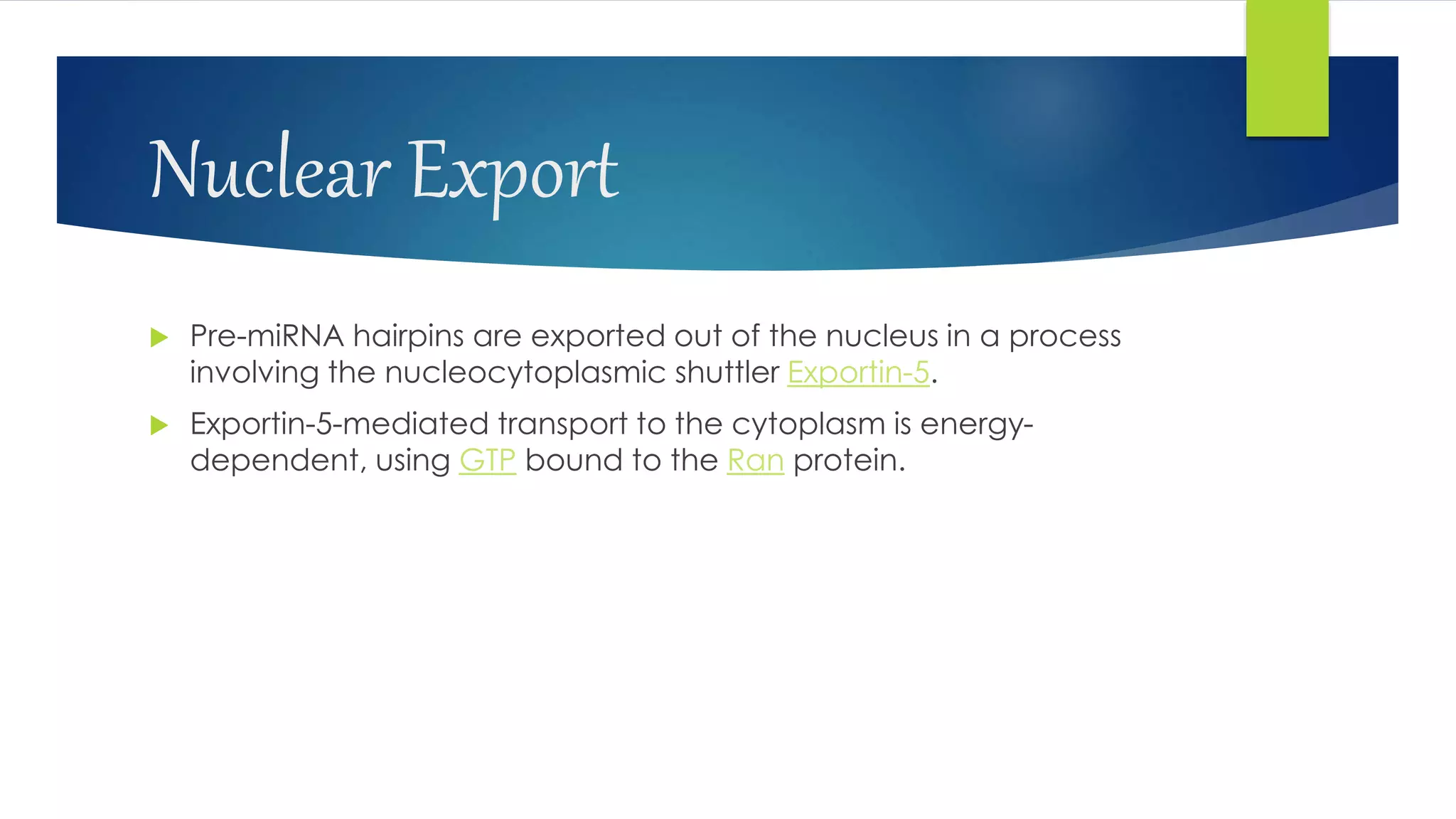 Nuclear Export
 Pre-miRNA hairpins are exported out of the nucleus in a process
involving the nucleocytoplasmic shuttler Exportin-5.
 Exportin-5-mediated transport to the cytoplasm is energy-
dependent, using GTP bound to the Ran protein.
 