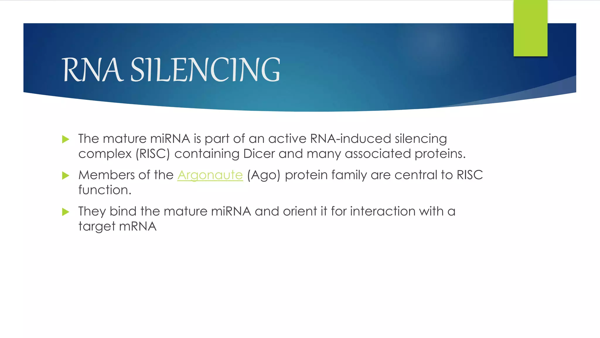 RNA SILENCING
 The mature miRNA is part of an active RNA-induced silencing
complex (RISC) containing Dicer and many associated proteins.
 Members of the Argonaute (Ago) protein family are central to RISC
function.
 They bind the mature miRNA and orient it for interaction with a
target mRNA
 