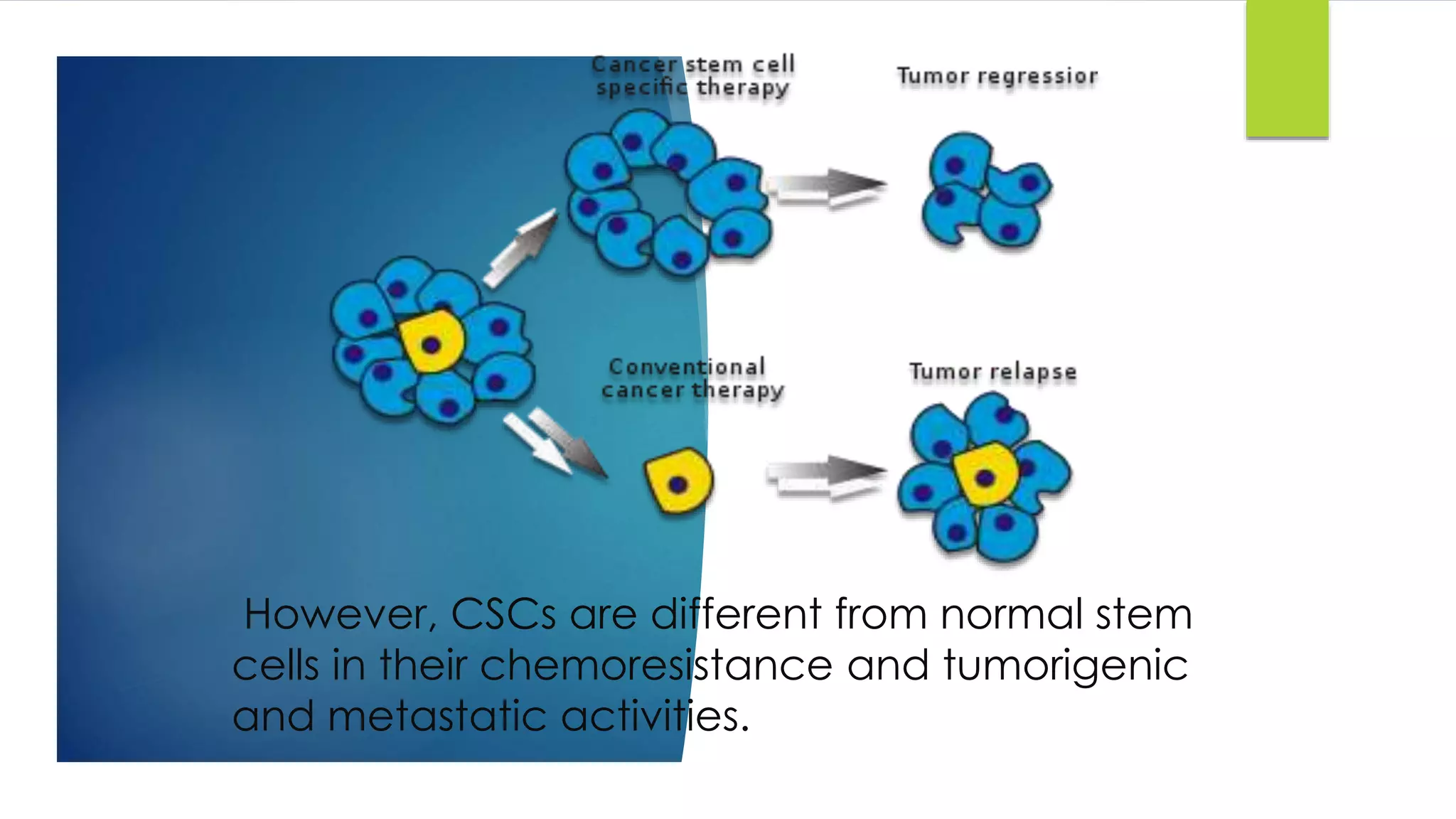 However, CSCs are different from normal stem
cells in their chemoresistance and tumorigenic
and metastatic activities.
 