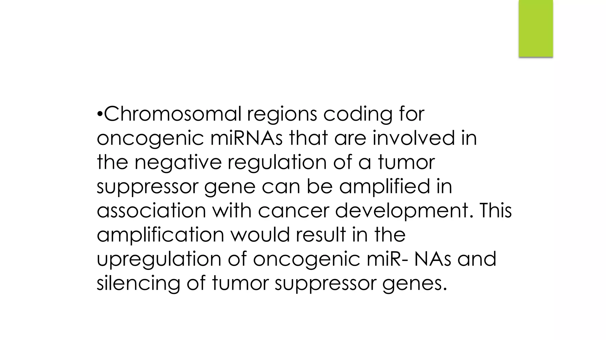 •Chromosomal regions coding for
oncogenic miRNAs that are involved in
the negative regulation of a tumor
suppressor gene can be amplified in
association with cancer development. This
amplification would result in the
upregulation of oncogenic miR- NAs and
silencing of tumor suppressor genes.
 