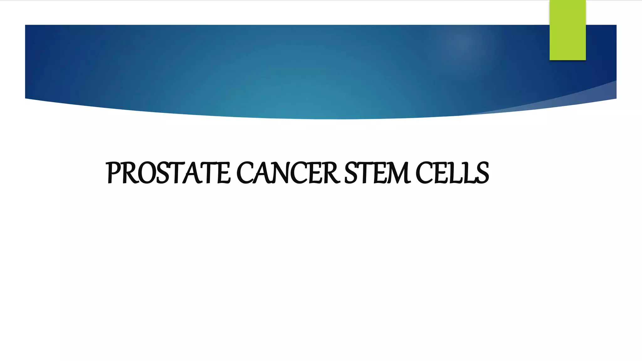 PROSTATE CANCER STEM CELLS
 