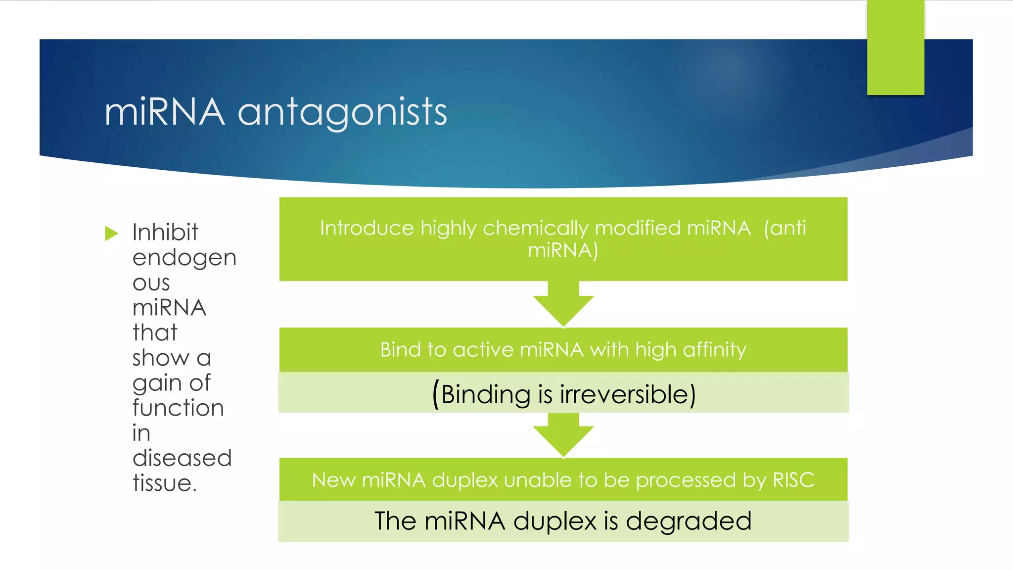 miRNA antagonists
 Inhibit
endogen
ous
miRNA
that
show a
gain of
function
in
diseased
tissue. New miRNA duplex unable to be processed by RISC
The miRNA duplex is degraded
Bind to active miRNA with high affinity
(Binding is irreversible)
Introduce highly chemically modified miRNA (anti
miRNA)
 