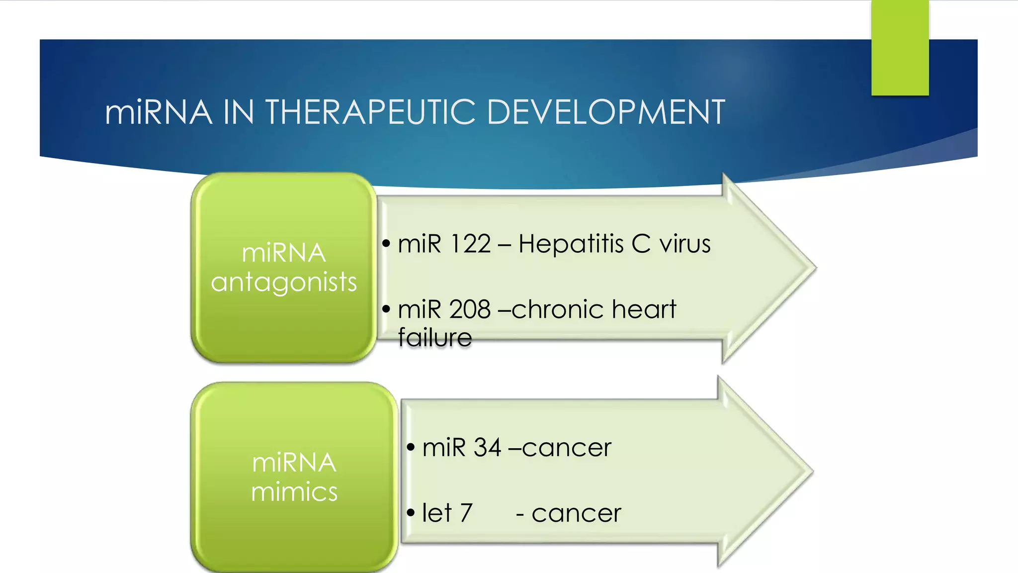 miRNA IN THERAPEUTIC DEVELOPMENT
•miR 122 – Hepatitis C virus
•miR 208 –chronic heart
failure
miRNA
antagonists
•miR 34 –cancer
•let 7 - cancer
miRNA
mimics
 