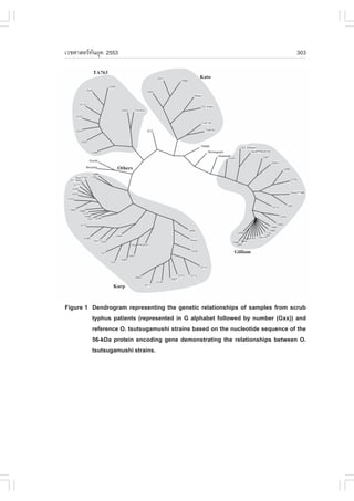 àÇªÈÒÊµÃ·¹ÂØ¤ 2553
          Ñ                                                                    303




.igure 1 Dendrogram representing the genetic relationships of samples from scrub
         typhus patients (represented in G alphabet followed by number (Gxx)) and
         reference O. tsutsugamushi strains based on the nucleotide sequence of the
         56-kDa protein encoding gene demonstrating the relationships between O.
         tsutsugamushi strains.
 
