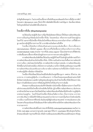 àÇªÈÒÊµÃ·¹ÂØ¤ 2553
          Ñ                                                                                                                                                 55

ÊíÒ¤Ñ­¤×ÍÁÕ¼ÁËÅØ´Ã‹Ç§ ã¹»ÃÐà·Èä·Âàª×Í¡ÅÒ¡·ÕË¹Ñ§ÈÕÃÉÐáÅÐàÊŒ¹¼ÁÁÑ¡à¡Ô´¨Ò¡àª×Í·ÕÁÒ¨Ò¡ÊÑµÇ
                                     é     è                              é è
â´Âà©¾ÒÐ Microsporum canis «Ö§»ÃÐÇÑµ¡ÒÃÊÑÁ¼ÑÊÊÑµÇàÅÕÂ§ÁÕ¤ÇÒÁÊíÒ¤Ñ­ÁÒ¡ ÁÔ©Ð¹Ñ¹ÍÒ¨µÔ´µ‹Í
                                è      Ô             é                       é
ä»ÂÑ§ºØ¤¤ÅÍ×¹ã¹ºŒÒ¹â´ÂÁÕÊµÇàÅÕÂ§à»š¹¾ÒËÐ
            è             Ñ é

âÃ¤àª×éÍÃÒ·ÕèàÅçº (Onychomycosis)
          ¾ºä´ŒºÍÂã¹àÇª»¯ÔºµÔ à»š¹ÀÒÇÐ·Õ¶¡ÇÔ¹¨©ÑÂ¼Ô´¾ÅÒ´ä´ŒºÍÂ ·Ñ§·Õà»š¹¤ÇÒÁ¼Ô´»¡µÔ¢Í§àÅçº
                     ‹                           Ñ                        è Ù Ô                                       ‹ é è
¨Ò¡ÀÒÇÐÍ×è¹áÅŒÇ¶Ù¡ÇÔ¹Ô¨©ÑÂà»š¹âÃ¤àª×éÍÃÒ·ÕèàÅçº â´Âá¾·ÂàÍ§ ËÃ×Í¨Ò¡¤ÇÒÁà¢ŒÒã¨¢Í§¼ÙŒ»†ÇÂ
â´Â·ÑÇä» ¹Í¡¨Ò¡¹Ñ¹âÃ¤àª×ÍÃÒ·ÕàÅçºà»š¹âÃ¤·ÕµÍ§ÍÒÈÑÂÃÐÂÐàÇÅÒ¹Ò¹ã¹¡ÒÃÃÑ¡ÉÒ ÂÒ·ÕãªŒÁÃÒ¤Ò
      è                        é              é             è                       è Œ                                                             è Õ
ÊÙ§ áÅÐÂÑ§ÍÒ¨ÁÕ»¯Ô¡ÃÂÒÃÐËÇ‹Ò§ÂÒä´Œ ºÒ§¡Ã³ÕÍÒ¨à»š¹ÍÑ¹µÃÒÂ¶Ö§ªÕÇµ
                             ÔÔ                                                                                             Ô
          âÃ¤àª×é Í ÃÒ·Õè à Åç º ¤× Í ¡ÒÃ·Õè à Åç º ËÃ× Í Ê‹ Ç ¹»ÃÐ¡Íº¢Í§àÅç º µÔ ´ àª×é Í ÃÒ ·Ñé § ¨Ò¡àª×é Í ¡ÅÒ¡
(dermatophytes) àª×éÍÂÕÊµ (yeasts) àª×éÍÃÒÊÒÂ·ÕèäÁ‹ãª‹àª×éÍ¡ÅÒ¡ËÃ×ÍÍÒ¨àÃÕÂ¡Ç‹Ò¡ÅÒ¡à·ÕÂÁ
(nondermatophyte molds) Ê‹Ç¹âÃ¤ “¡ÅÒ¡·ÕàÅçº (tinea ungium)” ¹Ñ¹¨Ðà»š¹¤íÒ¨íÒà¾ÒÐ·ÕãªŒÊÒËÃÑº
                                                                                  è                                       é                        è í
¡ÒÃµÔ´àª×Íà©¾ÒÐàª×Í¡ÅÒ¡«Ö§Ê‹Ç¹ãË­‹Á¡¨Ð·ÃÒº¨Ò¡¡ÒÃµÃÇ¨·Ò§ËŒÍ§»¯Ôºµ¡ÒÃ
           é             é                  è                          Ñ                                                             Ñ Ô
          ¤ÇÒÁ¼Ô´»¡µÔ¢Í§àÅçºà»š¹ÊÔ§·Õ¾ºä´ŒºÍÂã¹àÇª»¯ÔºµÔ â´Â·ÑÇä»áÅŒÇ¼Ù»ÇÂÁÑ¡ÁÕ¤ÇÒÁà¢ŒÒã¨Ç‹Ò
                                                              è è             ‹                              Ñ          è           Œ †
¤ÇÒÁ¼Ô´»¡µÔ¢Í§àÅçºÁÑ¡¨Ðà»š¹âÃ¤àª×ÍÃÒ·ÕàÅçº ·Ñ§·Õ¤ÇÒÁ¨ÃÔ§áÅŒÇÍÒ¨¨Ðà¡Ô´¢Ö¹¨Ò¡¤ÇÒÁ¼Ô´»¡µÔ
                                                                     é      è             é è                                            é
¨Ò¡ÀÒÇÐÍ×¹æ àª‹¹âÃ¤ÊÐà¡ç´à§Ô¹·ÕàÅçº ¤ÇÒÁ¼Ô´»¡µÔ¨Ò¡ÀÂÑ¹µÃÒÂµ‹ÍàÅçº ¤ÇÒÁ¼Ô´»¡µÔ¢Í§àÅçº
             è                                                     è
·Õà¡Ô´¢Ö¹Ã‹ÇÁ¡ÑºâÃ¤¼ÔÇË¹Ñ§Í×¹æ ËÃ×ÍâÃ¤·Ò§¡ÒÂà»š¹µŒ¹ ºÒ§¤ÃÑ§¡ÒÃãªŒà¾ÕÂ§á¤‹Å¡É³ÐÀÒÂ¹Í¡·ÕÁÕ
  è é                                    è                                                                         é                       Ñ                   è
¤ÇÒÁ¼Ô ´ »¡µÔ ¢ Í§àÅç º áµ‹ à ¾Õ Â §ÍÂ‹ Ò §à´Õ Â ÇÍÒ¨ÁÕ ¤ ÇÒÁ¼Ô ´ ¾ÅÒ´à¡Ô ´ ¢Öé ¹ ä´Œ Ë Ò¡äÁ‹ ÁÕ ¡ ÒÃµÃÇ¨
·Ò§ËŒÍ§»¯Ôºµ¡ÒÃÂ×¹ÂÑ¹¡ÒÃÇÔ¹¨©ÑÂâÃ¤
               Ñ Ô                                     Ô
          âÃ¤àª×ÍÃÒ·ÕàÅçº¹Ñ¹¾ºä´ŒºÍÂâ´ÂÁÕ»¨¨ÑÂàÊÕÂ§ã¹¡ÅØÁ·ÕÁÍÒÂØÁÒ¡ à¾ÈªÒÂ ÁÕâÃ¤Ã‹ÇÁ àª‹¹
                 é         è         é                         ‹                ˜            è                  ‹ è Õ
àºÒËÇÒ¹ ÀÒÇÐ¾Ã‹Í§ÀÙÁÔ¤ØŒÁ¡Ñ¹ ÀÒÇÐàË§×èÍÍÍ¡ÁÒ¡ ¡ÒÃäËÅàÇÕÂ¹¢Í§ËÅÍ´àÅ×Í´Ê‹Ç¹»ÅÒÂäÁ‹´Õ
ÁÕÀÂÑ¹µÃÒÂµ‹ÍàÅçºº‹ÍÂæ áÅÐÁÕ¤ÇÒÁ¼Ô´ÃÙ»¢Í§àÅçºÍÂÙ¡Í¹ àÅçºà·ŒÒ¾ºâÃ¤àª×ÍÃÒ·ÕàÅçºä´ŒºÍÂ¡Ç‹ÒàÅçº         ‹ ‹                            é è           ‹
Á×ÍÁÒ¡ ´ŒÇÂÁÕ»¨¨ÑÂËÅÒÂ»ÃÐ¡ÒÃ·ÕÊ¹ÑºÊ¹Ø¹ãËŒà¡Ô´âÃ¤·ÕàÅçºà·ŒÒÁÒ¡¡Ç‹ÒàÅçºÁ×Í
                   ˜                                             è                                        è
          ÅÑ¡É³Ð¡ÒÃà»ÅÕÂ¹á»Å§¢Í§àÅçº·Õ·ÒãËŒÊ§ÊÑÂÇ‹Òà»š¹âÃ¤àª×ÍÃÒ¹Ñ¹ÁÕËÅÒÂ»ÃÐ¡ÒÃ â´Â·ÑÇä»
                                   è                                     è í                                           é é                                 è
áÅŒÇ¨íÒ¹Ç¹¢Í§àÅçº·Õà»š¹âÃ¤àª×ÍÃÒÁÑ¡¨ÐÁÕà¾ÕÂ§äÁ‹¡àÅçº ¼Ù»ÇÂ·ÕÁ¤ÇÒÁ¼Ô´»¡µÔËÅÒÂæ àÅçº¨íÒ¹Ç¹
                             è                       é                                         Õè           Œ † è Õ
ÁÒ¡ÁÑ¡¨Ðà»š¹âÃ¤ÁÒ¹Ò¹ÁÒ¡â´ÂäÁ‹Ê¹ã¨ã¹¤ÇÒÁ¼Ô´»¡µÔ¢Í§àÅçºËÃ×ÍÁÔ©Ð¹Ñ¹¡çÁ¡¨ÐÁÕÀÒÇÐÀÙÁ¤Á¡Ñ¹                                              é Ñ                 Ô ØŒ
º¡¾Ã‹Í§Ã‹ÇÁÍÂÙ‹´ŒÇÂ â´Â·ÑèÇä»áÅŒÇâÃ¤àª×éÍÃÒ·ÕèàÅçº¨ÐäÁ‹ÁÕÍÒ¡ÒÃã´æ ·Ñé§ÍÒ¡ÒÃ»Ç´ ÍÒ¡ÒÃªÒ
ÍÒ¡ÒÃ¤Ñ¹ ËÃ×ÍÍÒ¡ÒÃÍ×¹ã´·Õ·ÒãËŒµÍ§ÁÒ¾ºá¾·Â Â¡àÇŒ¹Ç‹ÒÍÒ¡ÒÃàËÅ‹Ò¹Ñ¹à¡Ô´¨Ò¡âÃ¤¼ÔÇË¹Ñ§ËÃ×Í
                                 è         è í Œ                                                                                é
ÀÒÇÐÍ×¹æ ÃÇÁ·Ñ§âÃ¤¡ÅÒ¡·Õ¼ÇË¹Ñ§ ÍÑ¹à»š¹àËµØãËŒ¼»ÇÂµŒÍ§ÁÒ¾ºá¾·Â ËÒ¡¾ºàÅçºËÅÒÂæ àÅçº
        è              é                        è Ô                                               ÙŒ †
â´Âà©¾ÒÐà¡×Íº·Ø¡àÅçº¢Í§·Ñ§àÅçºÁ×ÍáÅÐà·ŒÒÁÕ¤ÇÒÁ¼Ô´»¡µÔ¡¹Ò¨Ð¹Ö¡¶Ö§¤ÇÒÁ¼Ô´»¡µÔ¢Í§àÅçº¨Ò¡âÃ¤
                                       é                                                                       ç ‹
·Ò§¡ÒÂÁÒ¡¡Ç‹Ò
          ¤ÇÒÁ¼Ô´»¡µÔ¢Í§àÅçºÁÕµ§áµ‹¡ÒÃË¹ÒµÑÇ¢Ö¹ãµŒàÅçº (subungual hyperkeratosis) ¨¹à¡Ô´ÀÒÇÐ
                                                         Ñé                             é
µÑÇàÅçº (nail plate) áÂ¡ÍÍ¡¨Ò¡°Ò¹àÅçº (nail bed) ·ÕàÃÕÂ¡Ç‹Ò onycholysis ÁÕ¼ÇàÅçº¢Ø¢ÃÐäÁ‹àÃÕÂº           è                                    Ô
ÅÑ¡É³ÐàËÁ×Í¹ÁÕ¡ÒÃ¼Ø¡Ã‹Í¹·ÕµÇàÅçº ËÃ×ÍÁÕ¡ÒÃà»ÅÕÂ¹á»Å§¢Í§ÊÕàÅçº·Õ¾ºº‹ÍÂÁÕÅ¡É³Ð¢ÒÇ·Öº¢Ø¹
                                                   è Ñ                                     è                                  è                Ñ             ‹
 