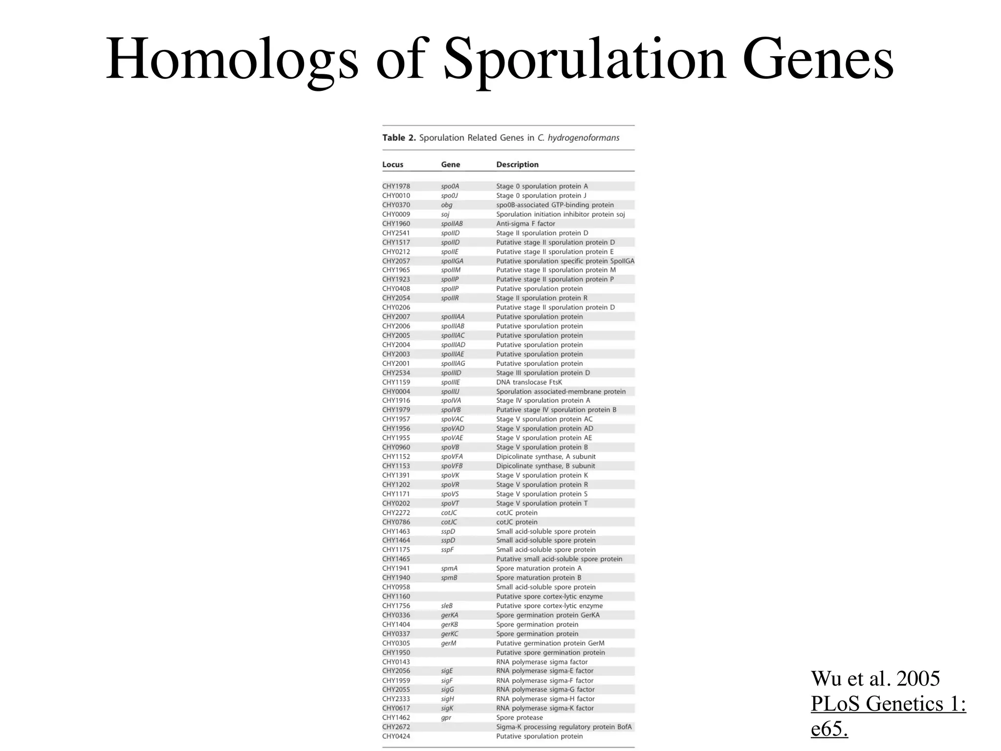 Homologs of Sporulation Genes




                         Wu et al. 2005
                         PLoS Genetics 1:
                         e65.
 