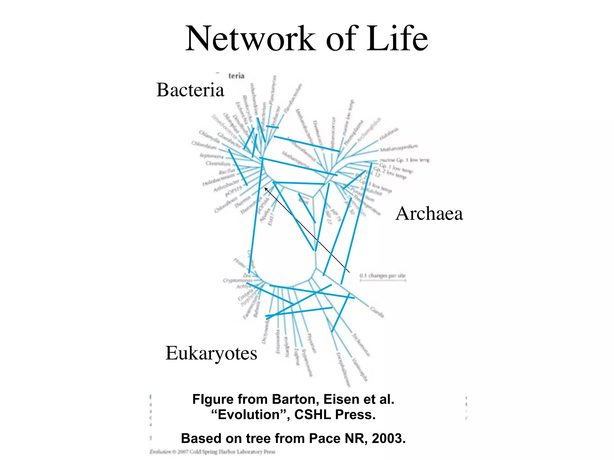 Network of Life
Bacteria




                                       Archaea




 Eukaryotes

    FIgure from Barton, Eisen et al.
       “Evolution”, CSHL Press.
  Based on tree from Pace NR, 2003.
 