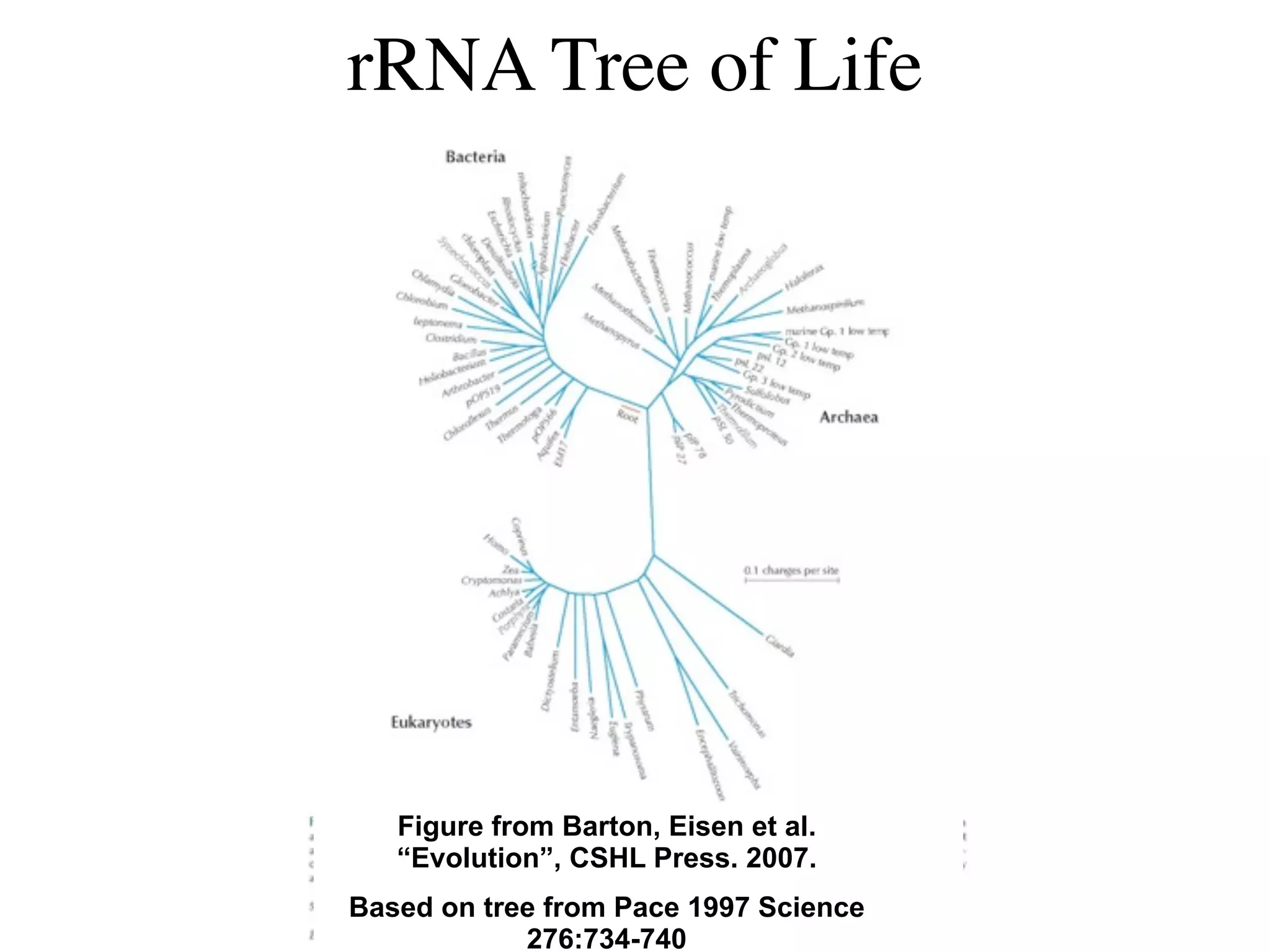 rRNA Tree of Life




   Figure from Barton, Eisen et al.
   “Evolution”, CSHL Press. 2007.
Based on tree from Pace 1997 Science
            276:734-740
 