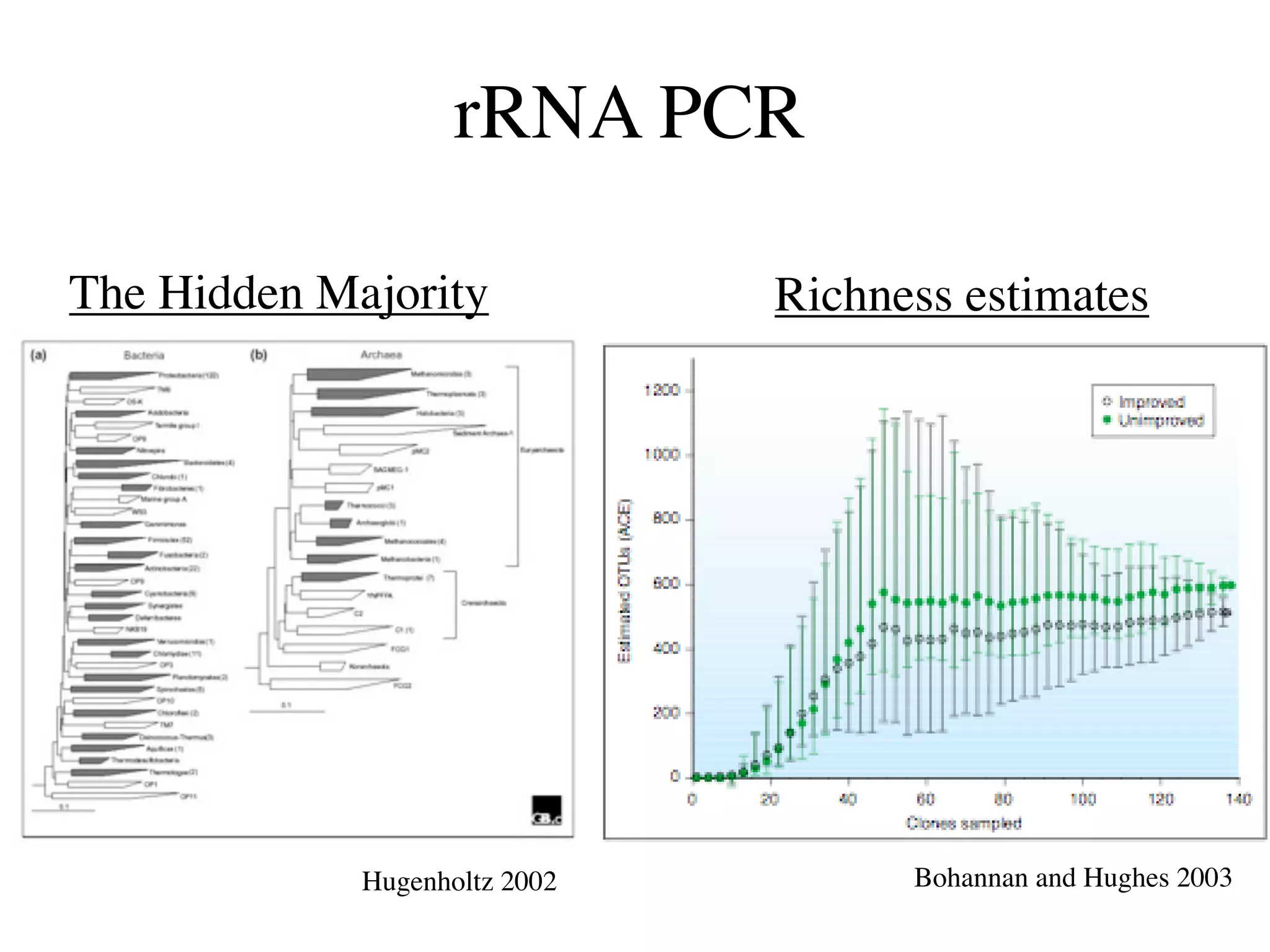 rRNA PCR

The Hidden Majority            Richness estimates




             Hugenholtz 2002         Bohannan and Hughes 2003
 