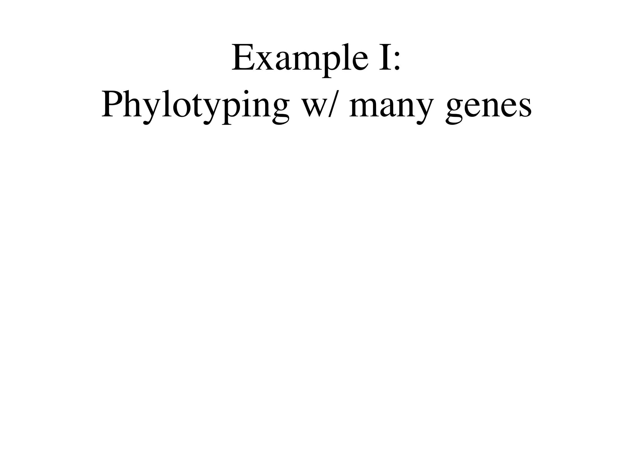 Example I:
Phylotyping w/ many genes
 