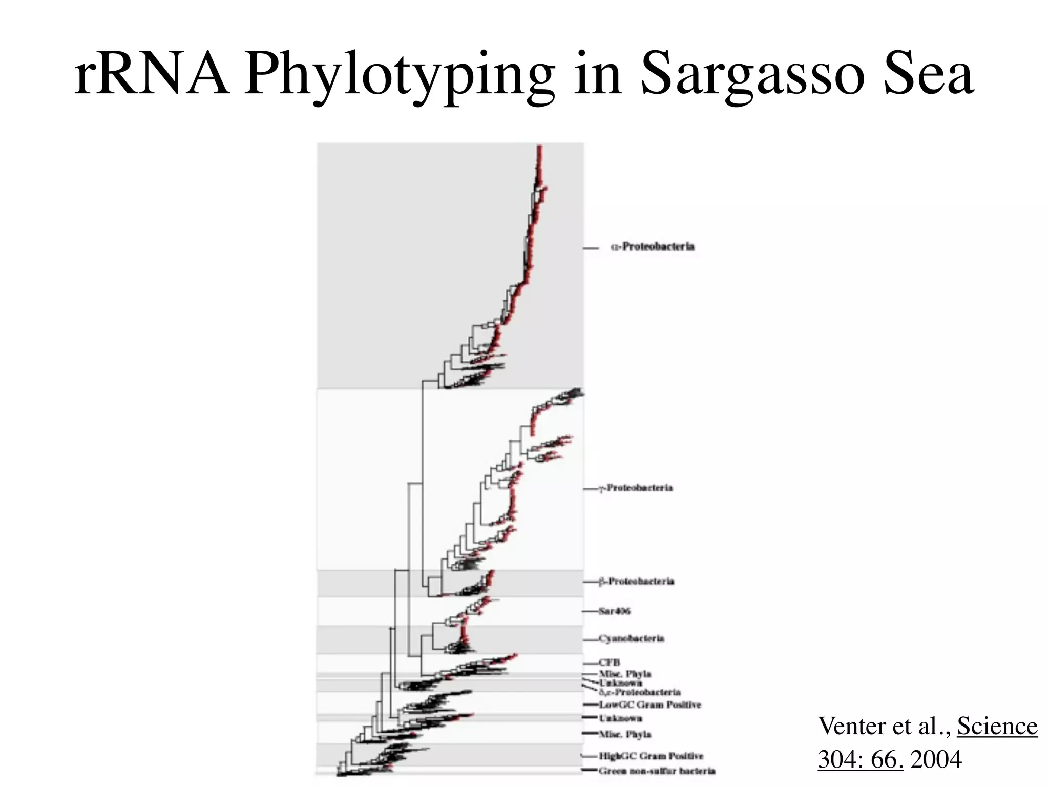 rRNA Phylotyping in Sargasso Sea




                          Venter et al., Science
                          304: 66. 2004
 