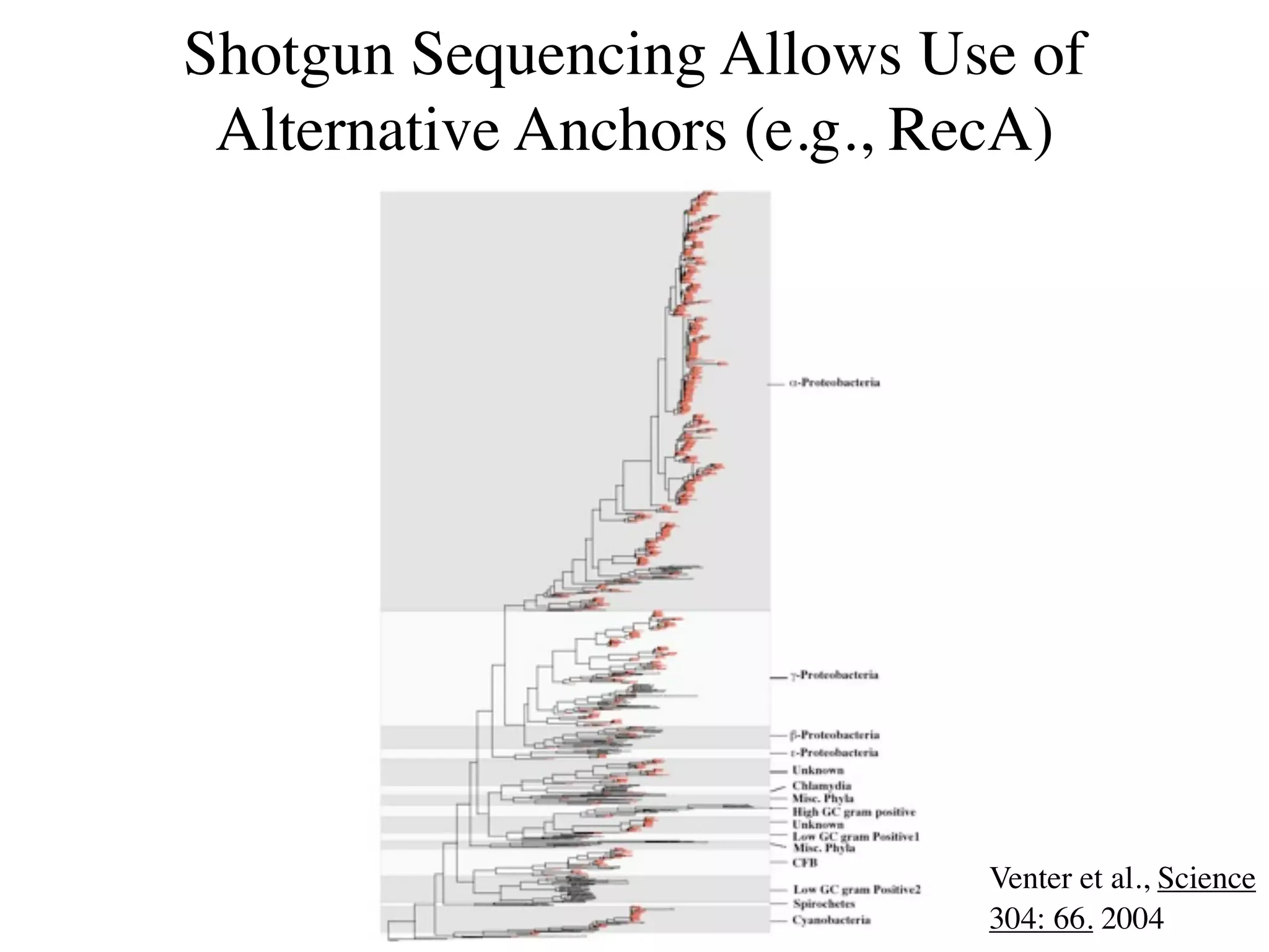 Shotgun Sequencing Allows Use of
 Alternative Anchors (e.g., RecA)




                             Venter et al., Science
                             304: 66. 2004
 