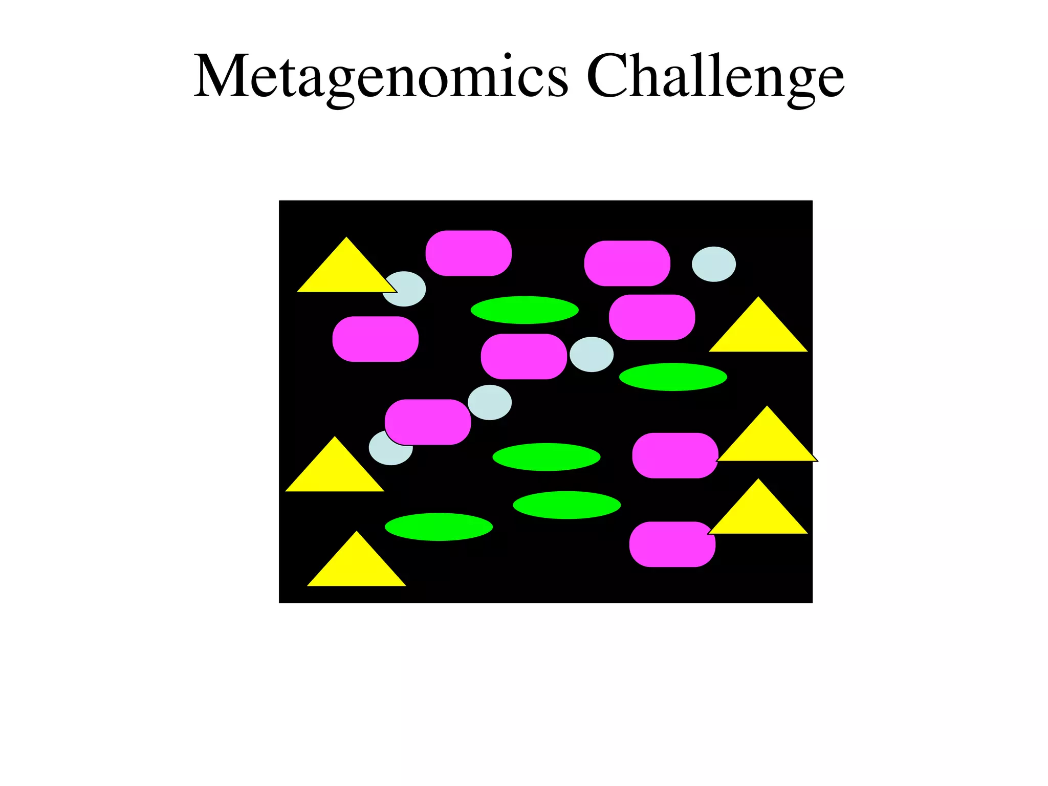 Metagenomics Challenge
 