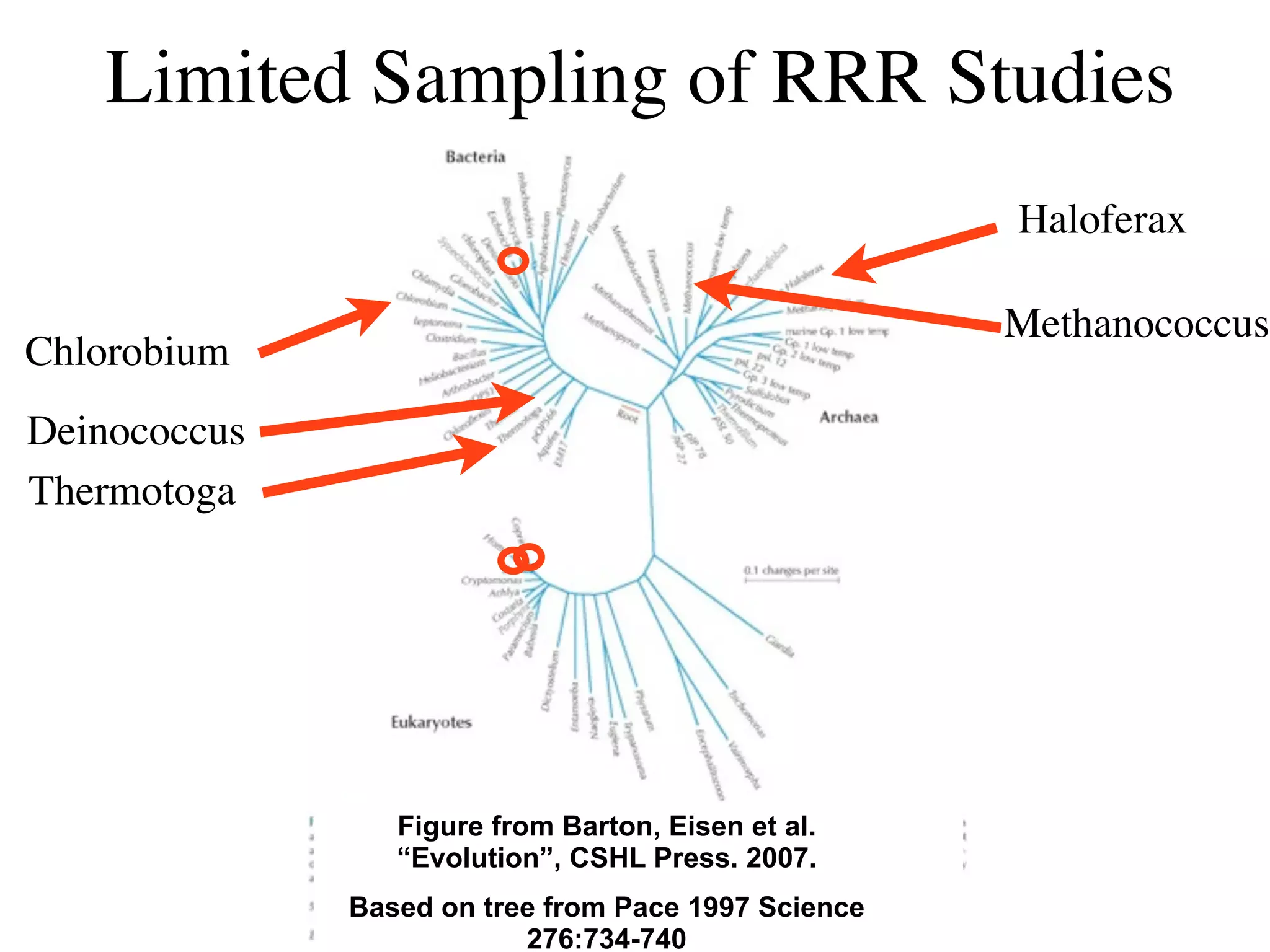 Limited Sampling of RRR Studies
                                                     Haloferax

                                                     Methanococcus
Chlorobium
Deinococcus
Thermotoga




                 Figure from Barton, Eisen et al.
                 “Evolution”, CSHL Press. 2007.
              Based on tree from Pace 1997 Science
                          276:734-740
 