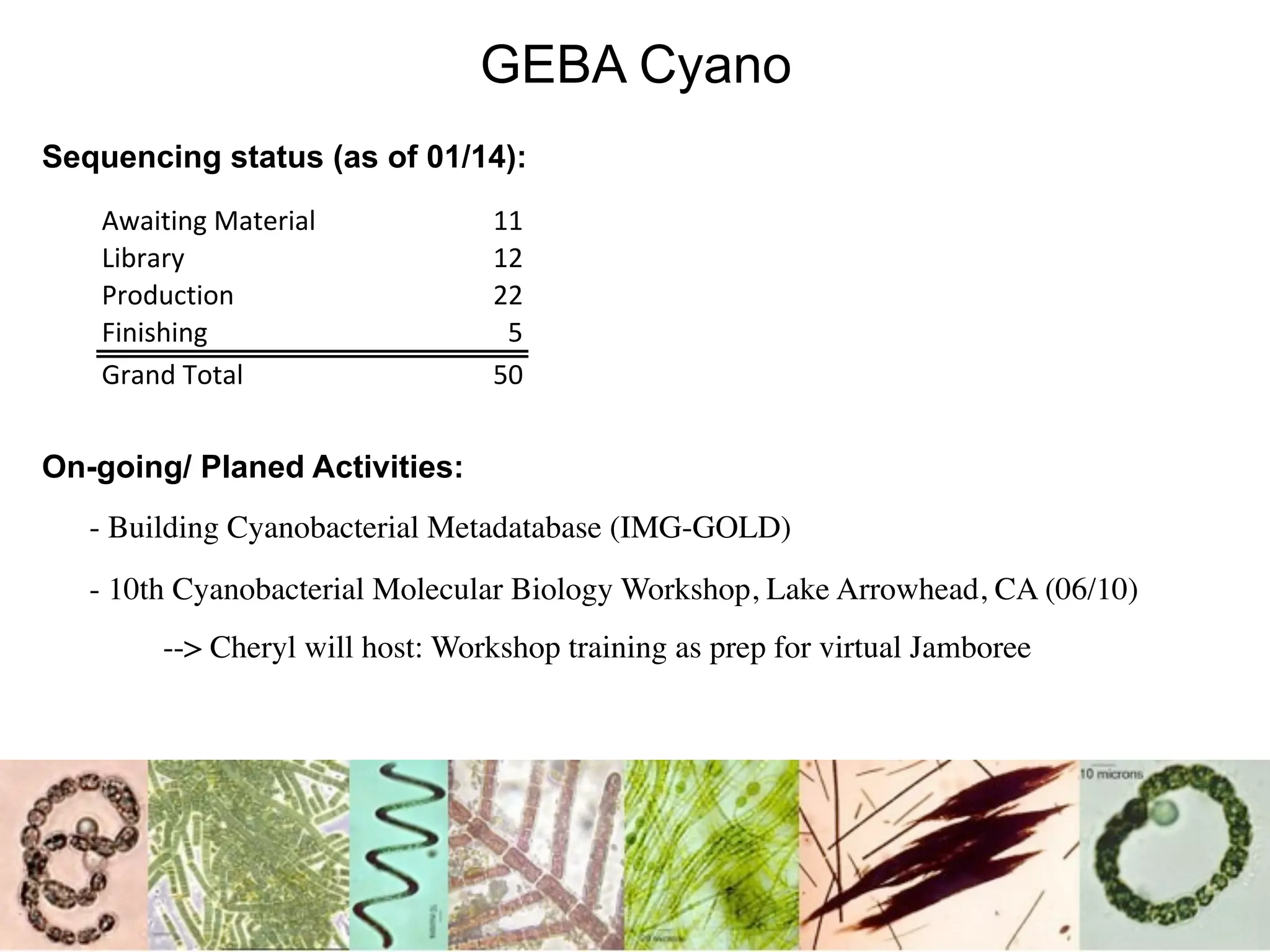 GEBA Cyano
Sequencing status (as of 01/14):
        Awaiting Material            11
        Library                      12
        Production                   22
        Finishing                     5
        Grand Total                  50


On-going/ Planed Activities:
    - Building Cyanobacterial Metadatabase (IMG-GOLD)

   - 10th Cyanobacterial Molecular Biology Workshop, Lake Arrowhead, CA (06/10)

   
       --> Cheryl will host: Workshop training as prep for virtual Jamboree




                                                                                   123
 