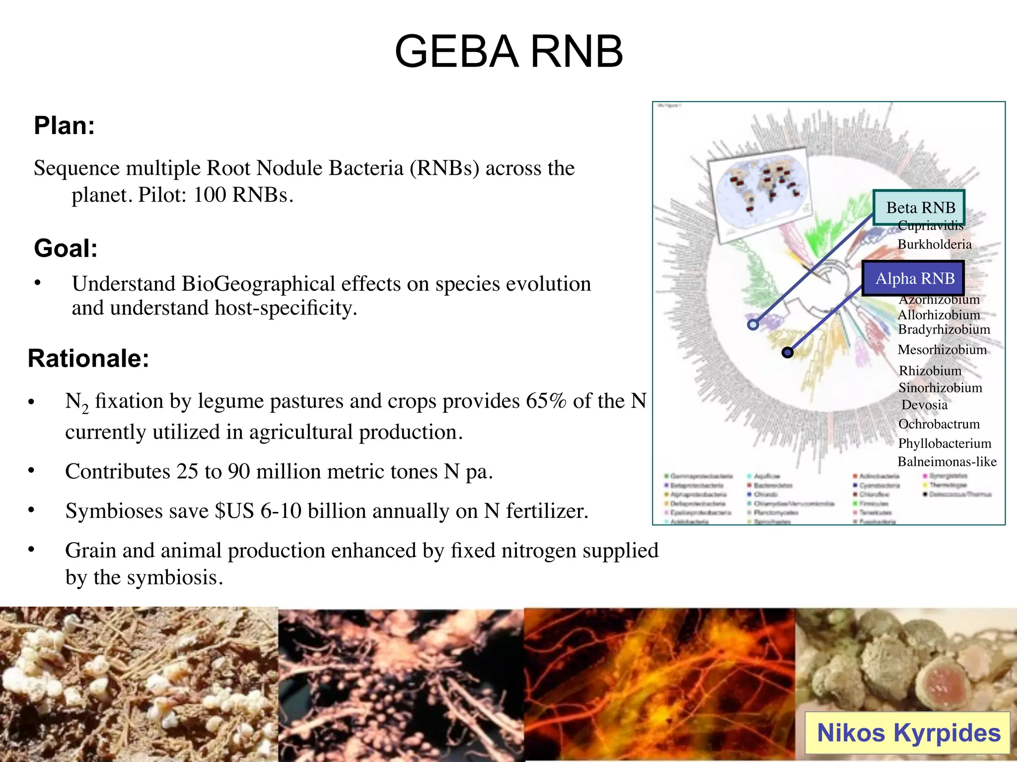 GEBA RNB
Plan:
Sequence multiple Root Nodule Bacteria (RNBs) across the
   planet. Pilot: 100 RNBs.                                               Beta RNB
                                                                           Cupriavidis
Goal:                                                                      Burkholderia

•   Understand BioGeographical effects on species evolution              Alpha RNB
                                                                           Azorhizobium
    and understand host-speciﬁcity.                                        Allorhizobium
                                                                           Bradyrhizobium
                                                                           Mesorhizobium
Rationale:                                                                 Rhizobium
                                                                           Sinorhizobium
•   N2 ﬁxation by legume pastures and crops provides 65% of the N          Devosia
                                                                           Ochrobactrum
    currently utilized in agricultural production.                         Phyllobacterium
                                                                           Balneimonas-like
•   Contributes 25 to 90 million metric tones N pa.
•   Symbioses save $US 6-10 billion annually on N fertilizer.
•   Grain and animal production enhanced by ﬁxed nitrogen supplied
    by the symbiosis.




                                                                     Nikos Kyrpides
                                                                                 124
 