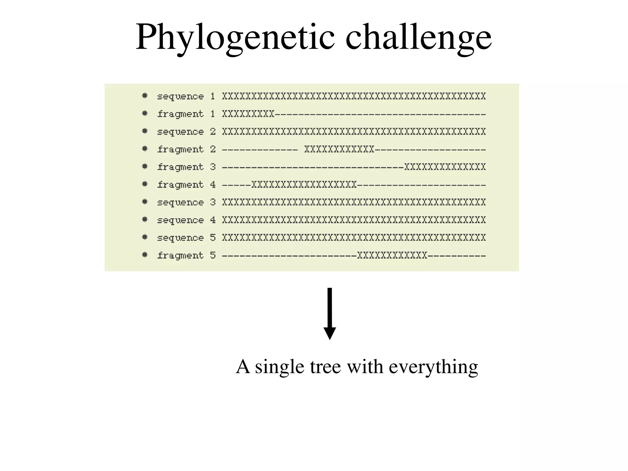 Phylogenetic challenge




      A single tree with everything
 